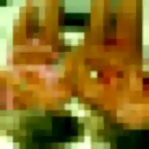 Profil de Manel à Sassetot-le-Mauconduit (31 ans) - plan cul sans inscription