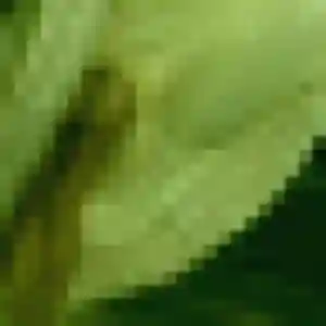 Lyana de Saugnac-et-Muret, 32 ans - plan cul discret