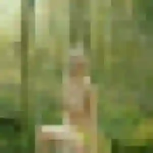Photo de Colombe à Sauveterre-de-Comminges (29 ans) - plan cul gratuit