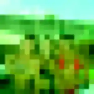 Elya, fille de 38 ans veut plan cul à Saveuse