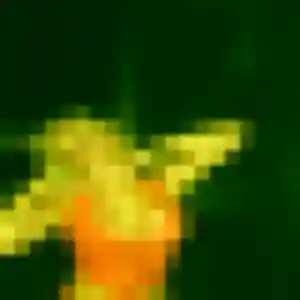 Profil de Lilas à Sceaux (24 ans) - plan cul gratuit