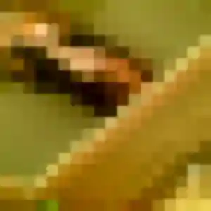 Yasmine, fille de 25 ans cherche plan cul à Sceaux