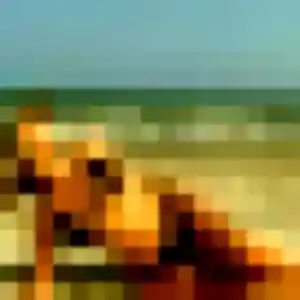 Manel, 34 ans, en ligne à Scheibenhard pour une rencontre coquine