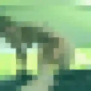 Photo de Lyana à Scorbé-Clairvaux (39 ans) - plan cul anonyme