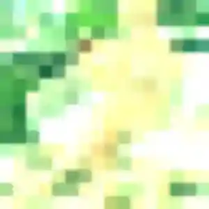 Photo perso de Charlene, 24 ans à Sées - plan discret