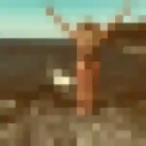 Jolie Eglantine, 23 ans à Selles-Saint-Denis - la contacter