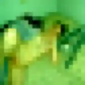 Photo de Clarisse à Selommes (23 ans) - plan cul discret