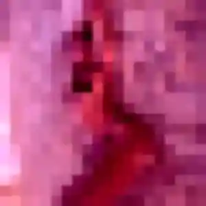 Photo perso de Giulia, 36 ans à Selongey - rencontre sans lendemain