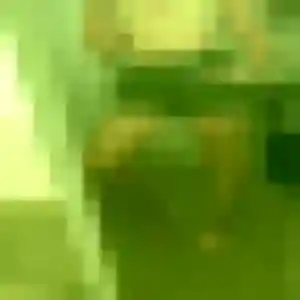 Photo privée de Rania, 35 ans à Semussac - rencontre sans lendemain