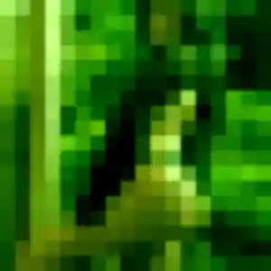 Aya, 31 ans, veut un plan cul à Seugy