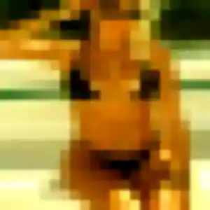 Photo de Oceane à Sexey-aux-Forges (36 ans) - plan cul gratuit