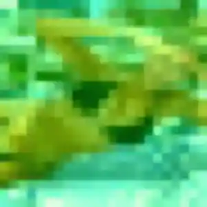 Profil de Alya à Solre-le-Château (38 ans) - plan cul discret