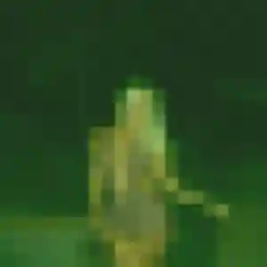 Sexy Yara, 30 ans à Sorel-Moussel - découvrir son profil