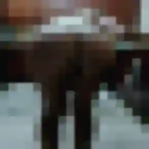 Photo privée de Lilas, 27 ans à Sornac - rencontre coquine