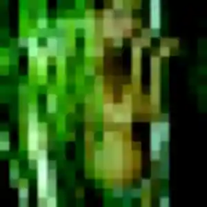 Photo de Stella à Sotteville-lès-Rouen (35 ans) - plan cul discret