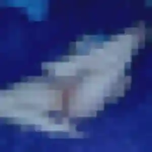 Photo privée de Aya, 38 ans à Sours - rencontre sans lendemain