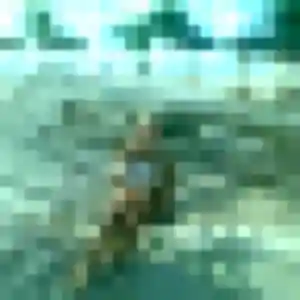 Profil de Alya à Souvigné-sur-Sarthe (36 ans) - plan cul anonyme