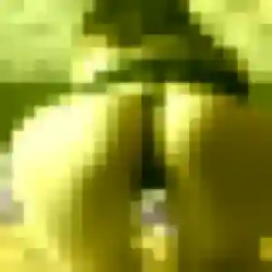 plan cul à Steenbecque : profil de Meryem, 34 ans - inscription gratuite