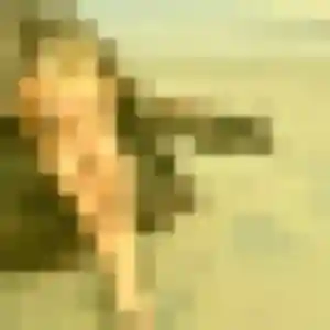 Elena (32 ans) à Sylvains-Lès-Moulins attend un plan cul rapidement