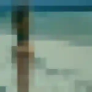 Découvre Isaure, 30 ans à Tancarville gratuitement