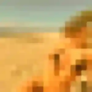 Photo perso de Constance, 23 ans à Taponnat-Fleurignac - rencontre coquine