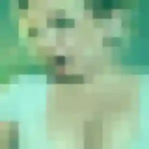 Photo exclusive de Coralie, 19 ans à Taverny - rencontre sans lendemain