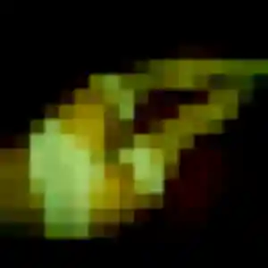 Photo perso de Faustine, 28 ans à Tergnier - rencontre coquine