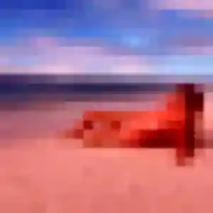 Rencontre Nael, 34 ans à Terres-de-Caux gratuitement