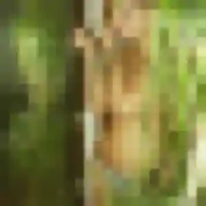 Stella, 38 ans, connectée à Terssac pour une rencontre coquine