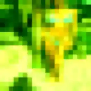 Jolie Enora, 23 ans à Thérouanne - découvrir son profil