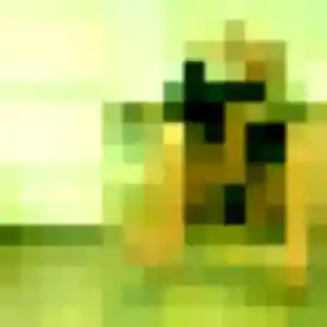 Photo de Selma à Thérouanne (19 ans) - plan cul discret