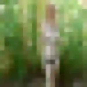 Jolie Candice, 26 ans à Thiais - la contacter