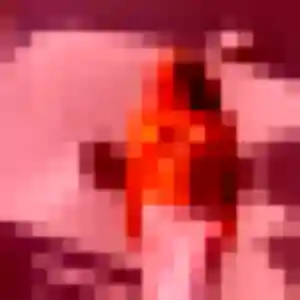 Djenna (20 ans) à Thiberville propose une rencontre ce soir