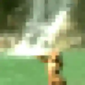 Photo privée de Manel, 33 ans à Thiberville - rencontre coquine