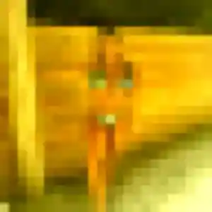 Photo exclusive de Lison, 24 ans à Thimory - plan discret