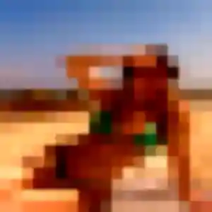 Photo de Faustine à Thiverval-Grignon (31 ans) - plan cul gratuit