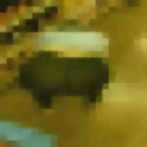 Elia de Thorée-les-Pins, 26 ans - plan cul sans prise de tête