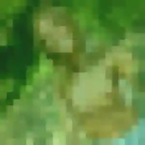 Belle Nolwenn, 25 ans à Thorée-les-Pins - la contacter