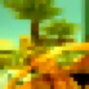 Photo sexy de Honorine, 28 ans à Thury-sous-Clermont - rencontre sans lendemain