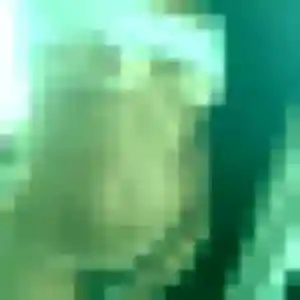 Amandine de Torcé-en-Vallée, 21 ans - plan cul sans prise de tête