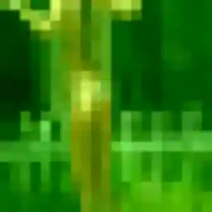 Photo exclusive de Daphne, 24 ans à Torcé-Viviers-en-Charnie - rencontre coquine