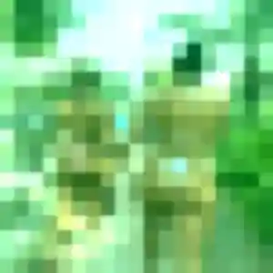 plan cul à Tôtes : profil de Noemi, 19 ans - accès libre