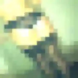 Constance (37 ans) à Tour-en-Bessin cherche un plan cul aujourd'hui