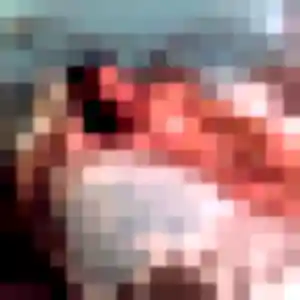 Photo de Sana à Tour-en-Sologne (19 ans) - plan cul anonyme