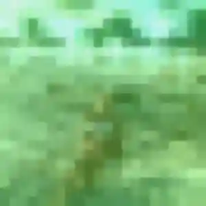 Photo exclusive de Djenna, 23 ans à Tourville-sur-Pont-Audemer - rencontre coquine