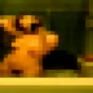 Lison, fille de 24 ans cherche plan cul à Toussaint