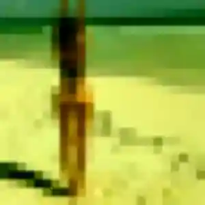 plan cul à Toutainville : profil de Roxane, 23 ans - accès libre