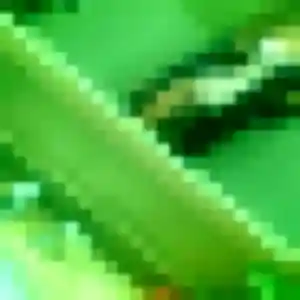 Découvre Yasmine, 22 ans à Treis-Sants-en-Ouche gratuitement