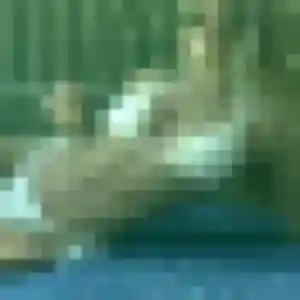 plan cul à Trélon : profil de Leila, 37 ans - inscription gratuite