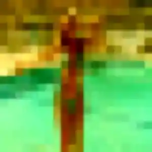 Rencontre Romy, 37 ans à Tremblay-les-Villages en t'inscrivant